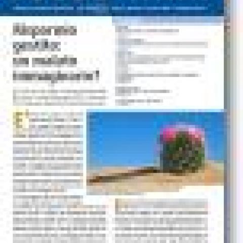 FOCUS Risparmio Gestito: è online il secondo numero | Assogestioni